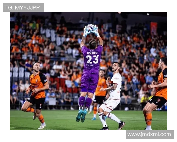 澳甲狮吼对决墨尔本城精彩赛事分析与前瞻展望