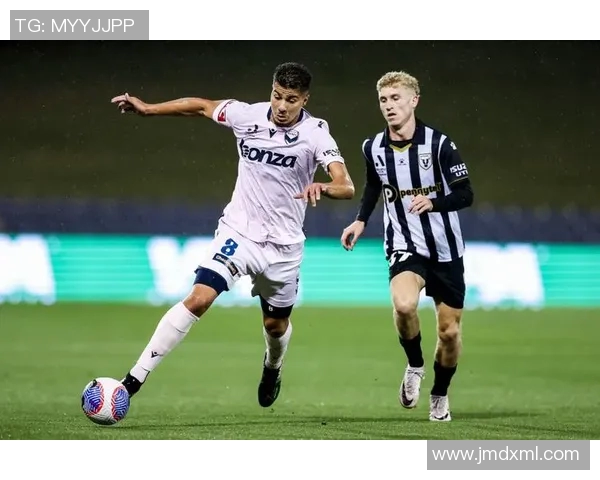 波鸿与慕尼黑1860对决前瞻分析及比赛结果预测