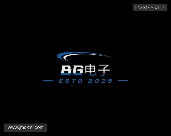 了解BG电子网址