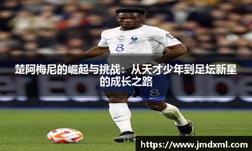 BG电子官方网站